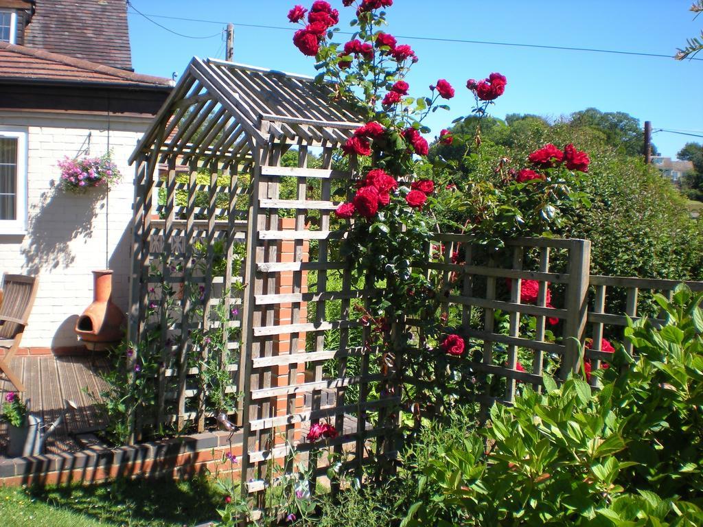 Hillside Cottage Ledbury Esterno foto